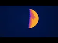 Harvest Moon - Poolside (Lyrics) English//Español