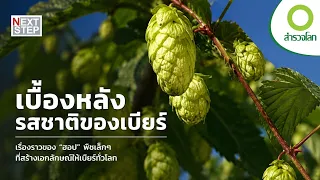 “ฮอป” พืชลึกลับ เบื้องหลังรสชาติของเบียร์ | สารคดี สำรวจโลก ตอน ฮอปแห่งบาวาเรีย