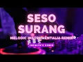 Lagu Seso Surang Melodic Instrumentalia Remix
