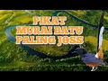 Lagu PIKAT MURAI BATU PALING JOSS ANTI ZONK