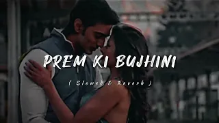 prem ki bujhini lofi song paglu slowed and reverb song