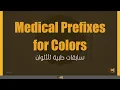 Terminology Lecture 4 Presentation Concise Modules