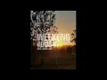 Dog Shaylon | Weekend 008