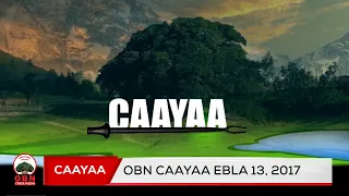 Caayaa Obbo Shamsaddiin Obsee 