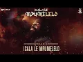 Download Lagu 01. Big Zulu - Icala Le Mpumelelo [Official Audio]