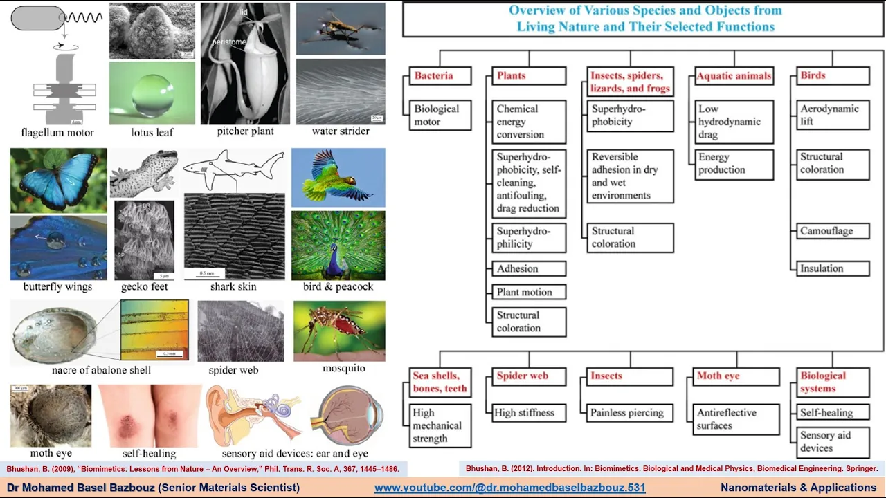 Understanding of the functions found in living nature to design and engineer nanomaterials/devices