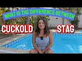 WHAT IS THE DIFFERENCE BETWEEN STAG VIXEN AND HOTWIFE