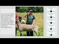 Body Condition Scoring Sheep Goats Alpacas and Llamas
