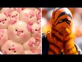 Download Lagu Снимки, после которых захочется пересмотреть их еще