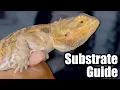 Substrate Guide For Arid Reptiles Bearded Dragons and Leopard Geckos