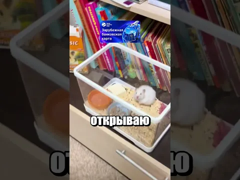 БОБА ОКАЗАЛСЯ ДЕВОЧКОЙ