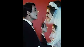 عبد الحليم حافظ الفرح مبروك يا عريس مبروك إهداء لكل عريس وعروسة 