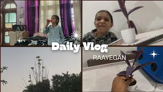 Today S Vlog 