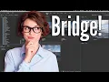 Why You Should Use Adobe Bridge NOW