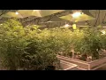 Are NJ s laws keeping up with the medical pot industry