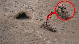 10 Cosas perturbadoras captadas accidentalmente por drones.
