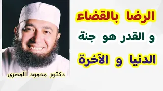 الرضا بالقضاء و القدر هو جنة الدنيا و الآخرة    جنة الرضا    دكتور محمود المصرى دندنها