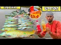Download Lagu Amazing Singh Shikar | 😳😳 चमत्कारी चारा |  Latest Techniques | Hindi Fishing videos 
