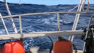 OCEAN PASSAGE Australia to NEW CALEDONIA – 4 Seasons of Wind in One Day (Sailing SV Sarean) EP. 73