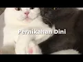 Pernikahan Dini - Cita Citata [speed up]