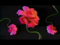 DUDA BEAT - Nem Um Pouquinho feat. Trevo -  Carlos do Complexo, LARINHX Remix (Visualizer)