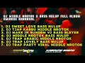 DJ BEDIL MIDDLE NROTOK VIRAL KARNAVAL 2024 FULL ALBUM TERBARU