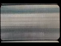 Buzzy Lee - Waffle Knit (Visualizer)