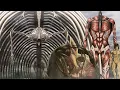 Eren s titans - Size comparison Attack On Titan