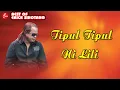 Download Lagu Tipul Tipul Ni Lili - Erick Sihotang (Lagu Batak Sedih)