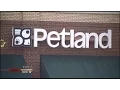 I-Team Petland Kennesaw accused of selling sick pets