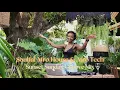 Download Lagu Soulful Afro House \u0026 Afro Tech | Sunset Sunday Groove Mix 2025 | DJ Alina Noir