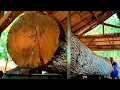 Lagu Large and dangerous cutting of beautiful mahogany wood at the sawmill 
