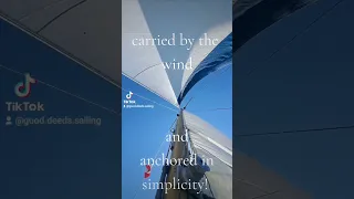 Come sailing with us! 😁⛵️🐈‍⬛️ #liveaboard #boatlife #sailing #travel #adventure