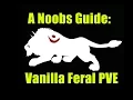A Noobs Guide Classic WoW Feral Druid PVE Dps