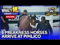 6 Preakness horses arrive at Pimlico in Baltimore