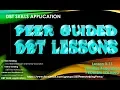 DBT Skills Application 3 - 11 Problem Solving