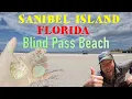 2nd BEST SHELLING BEACH Sanibel Island Florida adventure travel