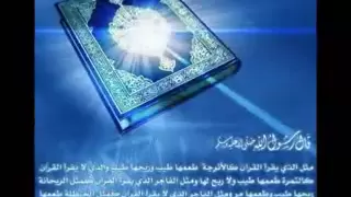 Download Qari Ziyad Patel - Surah Al-Fatiha and Beginning of Surah Al-Baqarah MP3