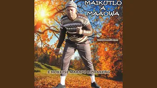 lerato ha le felile