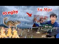 Download Lagu 10 Ngày Một Mình Trên Sa Mạc.Cắm Trại Đặt Bẫ.y Tự Tìm Thức Ăn Xây Dựng Nơi Trú Ẩn…|Camping Part 1…