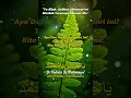 Download Lagu SHOLAWAT TERBARU 2025 #kumpulansholawat #sholawatsedih #kumpulansholawatmerdu