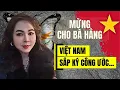 Lagu Việt Nam Sắp Ký Công Ước Hà Nội ,Bà Nguyễn Phương Hằng Sẽ Được Lợi Gì Khi An Ninh Mạng Được Kết Hợp