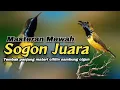 Download Lagu SOGON MATERI CILILIN SAMBUNG CIGUN‼️Masterannya Sogon Juara Lomba #sogon#sogokontong