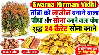 Swarna Nirman Vidhi तंबा को लाज़ील बनाने वाला पौधा और सोना बनाने वाला पौधा शुद्ध 24 कैरेट सोना बनाने