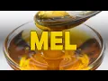 Download Lagu QUEM TEM DIABETES PODE COMER MEL DE ABELHA?