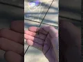 Holding the Big ass spider