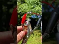 Download Lagu The top 3 fishing lures for catching monster bass👌