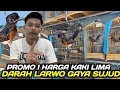 Lagu PROMO ! TROTOL MURAI LARWO GAYA SUJUD PALING DICARI PEMAIN LAPANGAN DIJUAL UGAL2AN HARI INI