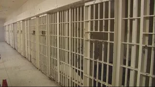 Michigan prisoners could earn early parole under proposed productivity credits law