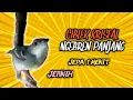Download Lagu Ciblek Kristal Gacor Ngebren Jernih Jeda 1 Menit
